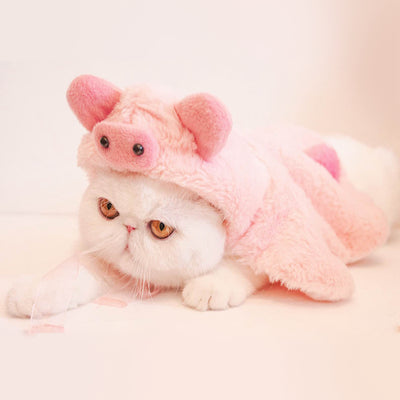 Ropa de Gato Estilo Urbano para Otoño e Invierno - Image 6