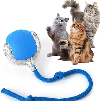 Blue and clear interactive cat ball toy with a rope, shown with three playful cats in the background. - Image 14