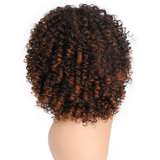 Peluca Sintética de Rizos Africanos para Mujer - Estilo Europeo y Americano - Image 10