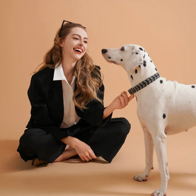 Braided dog collar with chevron pattern in cream and brown, featuring a cream strap and gold-tone metal buckle.