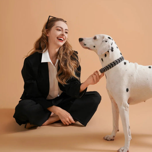 Braided dog collar with chevron pattern in cream and brown, featuring a cream strap and gold-tone metal buckle.