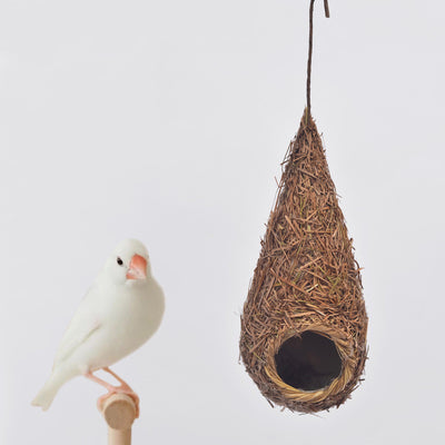Nido de Paja Natural para Pájaros Pequeños - Jaula Exterior - Image 6