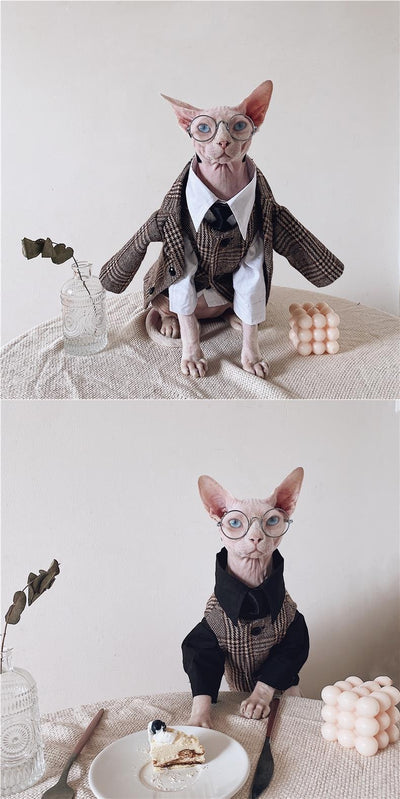 Traje Elegante para Gatos Sphynx y Razas sin Pelo - Image 14