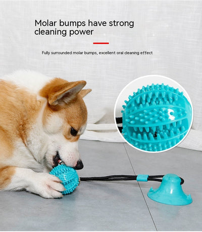 Green dog toy with a suction cup base and a textured ball on a black cord, designed for food dispensing and teeth cleaning. - Image 14