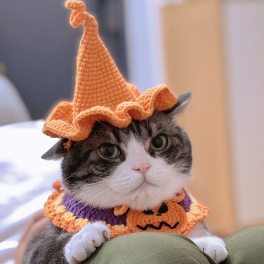 Bufanda Triangular de Lana con Estampado de Perros y Gatos