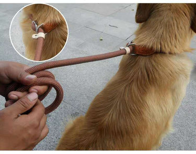 Correa de Nylon para Perros con Agarre Ergonómico - Image 3