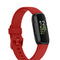 Rojo Plus Size