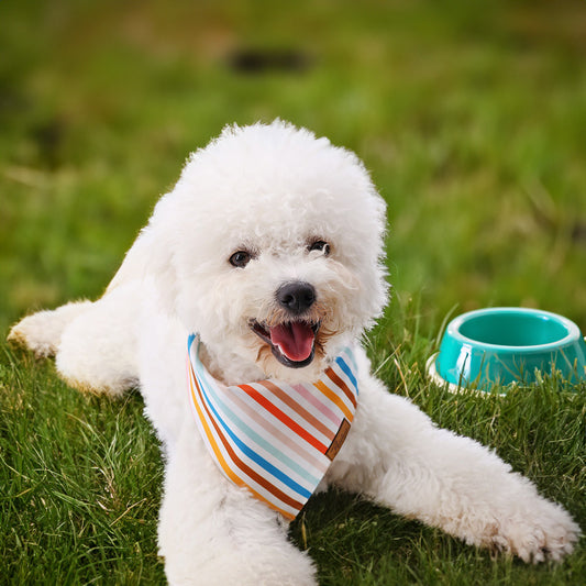 Toalla Absorbente para Perros con Diseño de Rayas