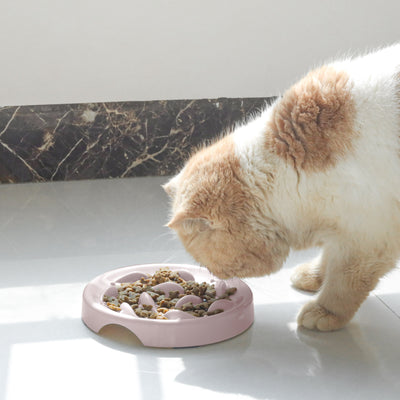 Comedero Lento Antiestrés para Perros y Gatos - Image 25
