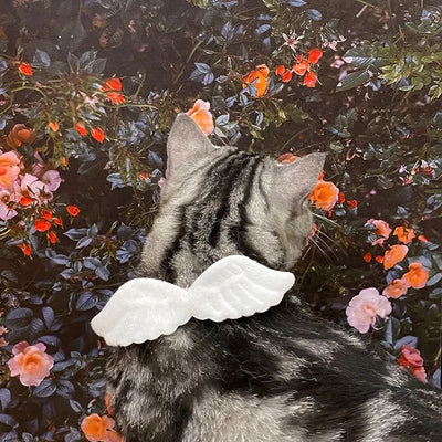 Collar Decorativo para Mascotas con Alas de Ángel y Accesorios de Mariposa - Image 15
