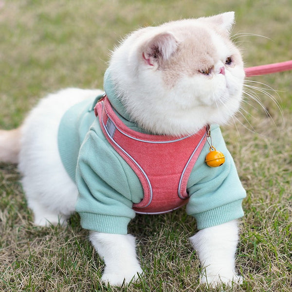 Arnés de Pecho Tipo Chaleco para Gatos con Correa