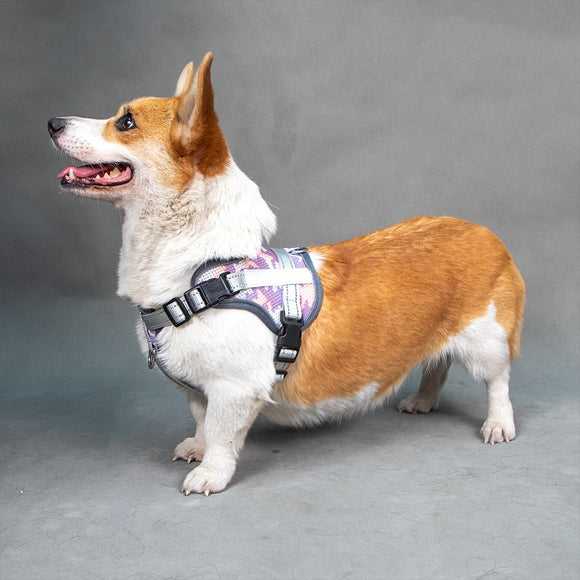 Arnés Reflectante Antiestrangulación para Mascotas con Colores Vibrantes
