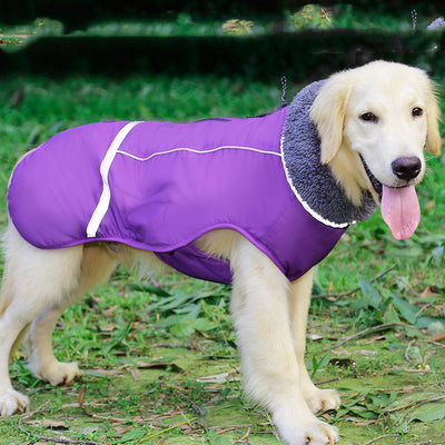 Abrigo Reflectante Térmico para Perros Grandes - Image 12