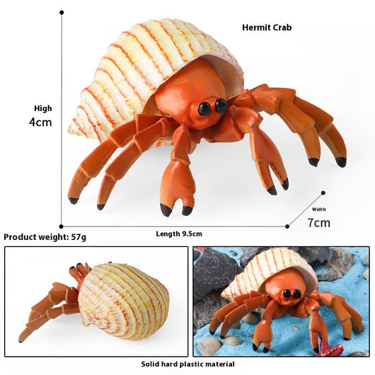 Juego Educativo de Animales Marinos Realistas para Niños - Image 75