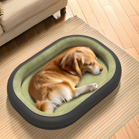 Casa Para Perros Grande y Mediano - Resistente Todo Clima, Lavable y Desmontable - Image 3