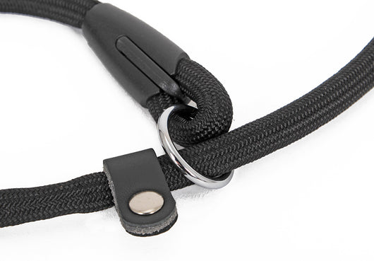 Collar de Nylon Doble para Perros - Image 10