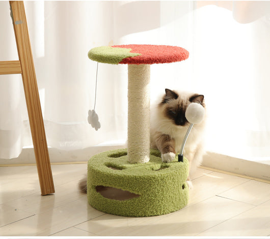 Árbol Rascador para Gatos Pequeños con Tablero de Sisal - Image 3
