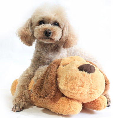 Juguete Calmante con Latido Cardíaco para Mascotas Ansiosas - Image 11