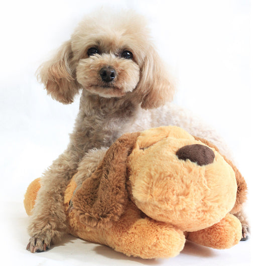 Juguete Calmante con Latido Cardíaco para Mascotas Ansiosas - Image 11