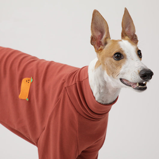 Suéter de Cuello Alto Texturizado para Razas de Perro Especiales - Image 6