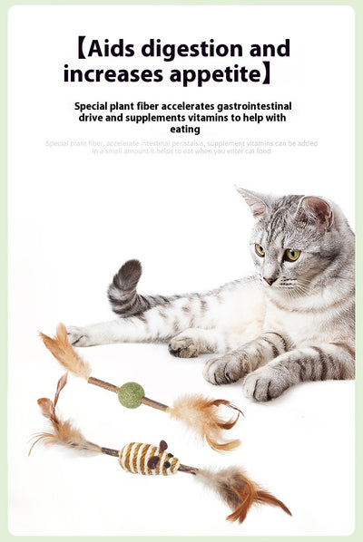 Feather and sisal cat toy with a wooden stick, green sisal ball, and brown feathers for molar cleaning. - Image 20