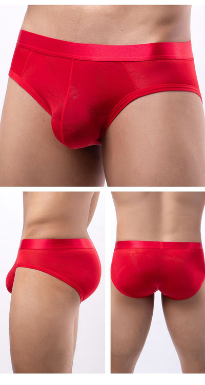 Calzoncillos Hombre Seda de Hielo Jacquard Transparente - Image 13