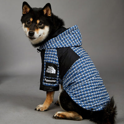 Impermeable para Perros Resistente al Viento y la Lluvia - Image 3
