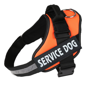 Arnés de Pecho para Perro con Cuerda de Tracción - Image 31