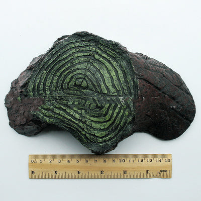 Rocódromo para Balcón - Estructura de Escalada para Reptiles - Image 9