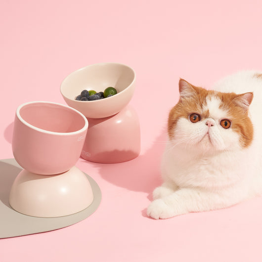 Comedero Elevado Doble para Gatos - Protección Cervical y Antivuelco