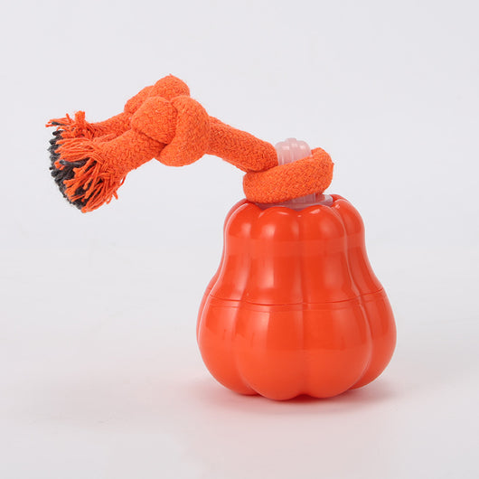 Orange pumpkin-shaped dog toy with a knotted rope, designed for outdoor training and interactive play. - Image 5