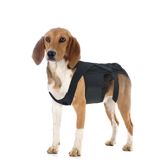 Arnés de Soporte Dorsal para Perros - Alivio de Dolor de Espalda, IVDD y Recuperación Quirúrgica - Image 10