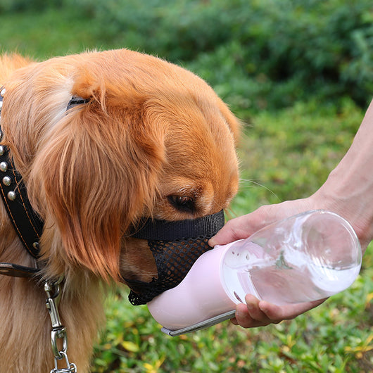 Bozal de Seguridad para Perros Pequeños y Grandes - Previene Mordidas y Lamidas - Image 9