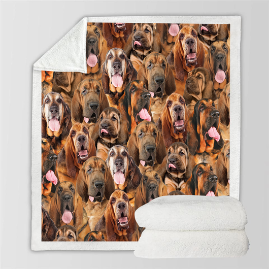 Manta de Franela Estampada para Perros de Diseño Moderno - Image 96