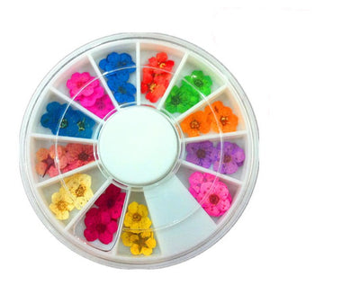 Joyería para Uñas con Flores Secas Naturales - Image 7