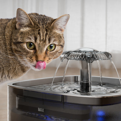 Dispensador Automático de Agua para Gatos en Acero Inoxidable - Image 3