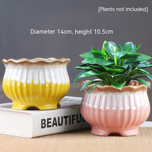 Maceta de Bonsái Suculenta en Cerámica Púrpura - Diseño Minimalista - Image 34