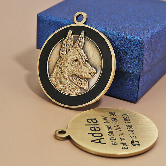 Placa de Identificación Antipérdida para Mascotas - Grabado Personalizado - Image 2