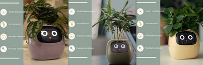 Maceta Inteligente con IA: 49 Expresiones y 7 Sensores para Plantas Felices - Image 80