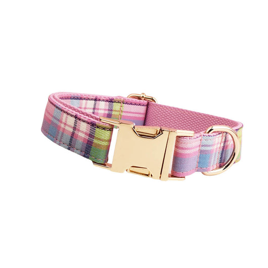 Collar y Correa de Tracción para Perros Qicaigei - Image 6