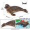 Foca Mini JS