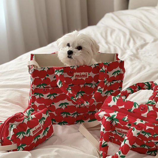 Bolsa de Transporte para Mascotas con Diseño Infantil
