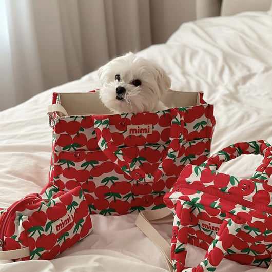 Bolsa de Transporte para Mascotas con Diseño Infantil