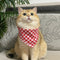 Red Triangular Binder Less Than