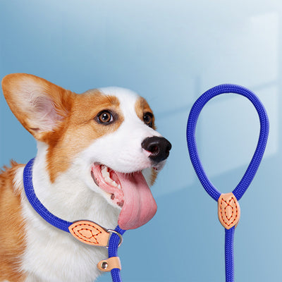 Collar de Entrenamiento Profesional con Correa Automática para Perros