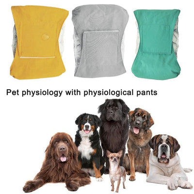 Pañal Absorbente Impermeable para Perros Macho