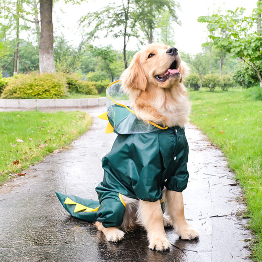 Traje Impermeable Completo para Mascotas de Cuatro Patas