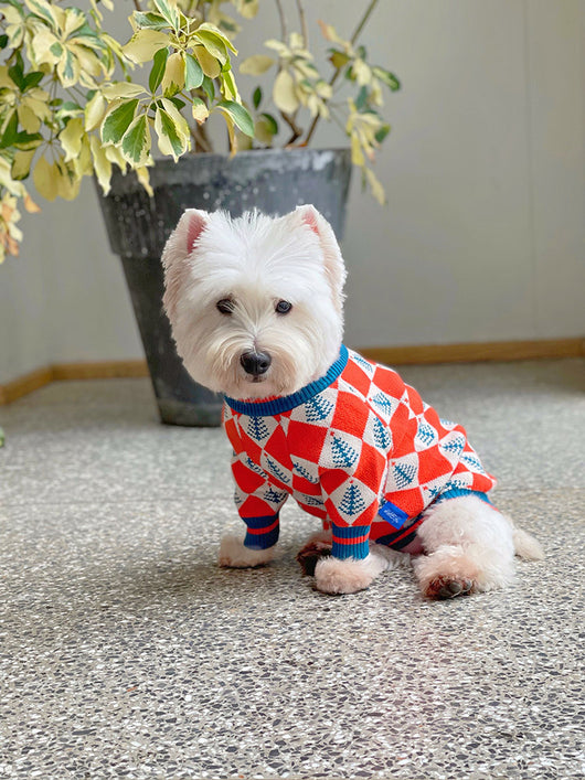 Suéter Abrigador para Perros y Gatos - Diseño Pug Shiba Inu para Invierno - Image 25