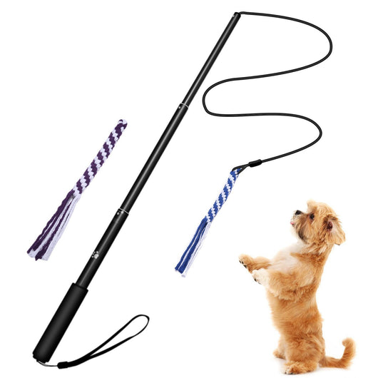 Black telescopic pet training rod with a black cord and two interchangeable braided fabric attachments in green/yellow and blue. - Image 4
