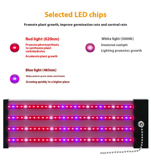 Barra LED de Espectro Completo para Plantas Suculentas - Image 18